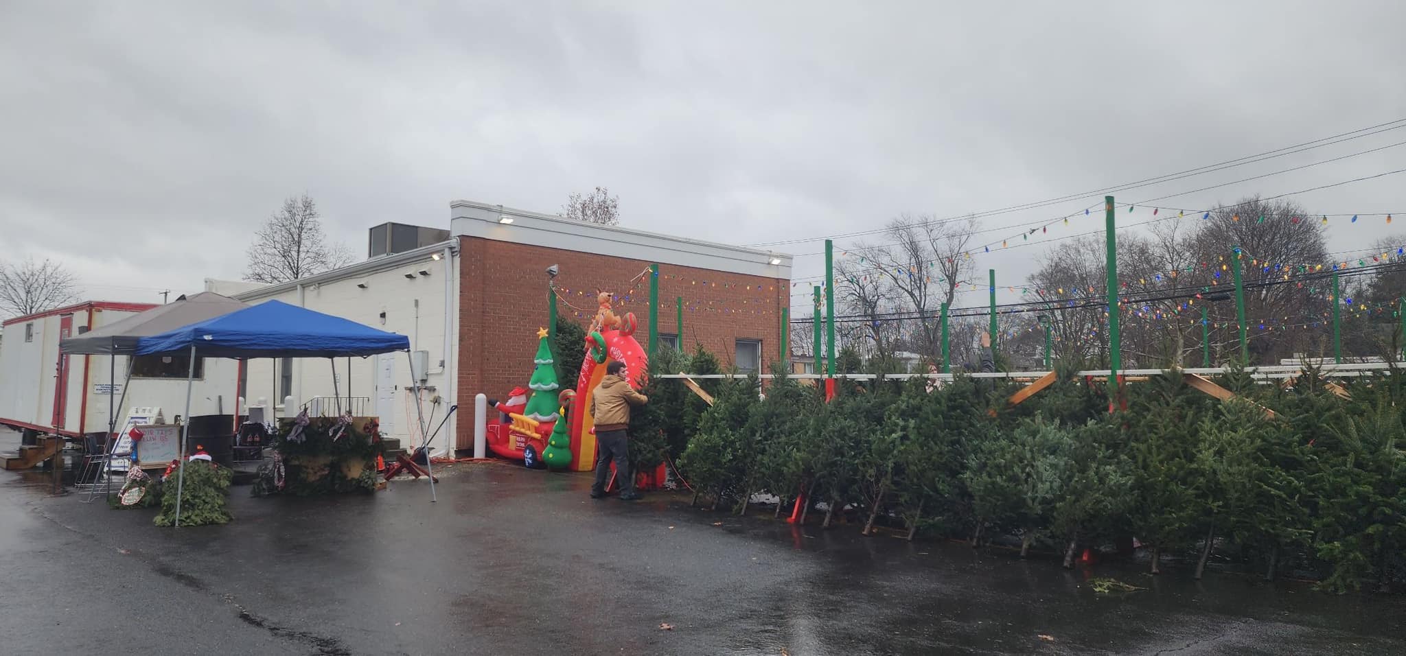 alt=”Christmas tree lot with wet rain” aria-hidden=”true”